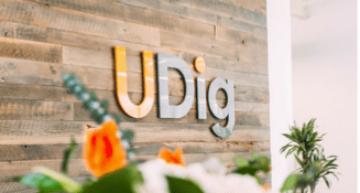 UDig